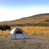 Review photo of Bridger Bay - Antelope Island State Park by Adam F., September 16, 2019