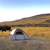 Review photo of Bridger Bay Campground — Antelope Island State Park by Adam F., September 16, 2019