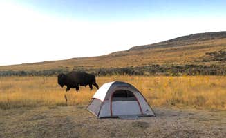 Adam F.'s photo at Bridger Bay Campground — Antelope Island State Park near Hooper, UT