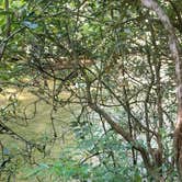 Review photo of Davidson River Campground by Jessica  W., August 24, 2019