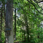 Review photo of Trout Creek Camp by Steph H., August 7, 2017