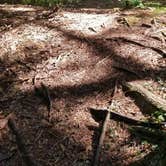 Review photo of Davidson River Campground by Jessica  W., August 24, 2019