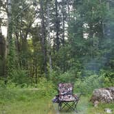 Review photo of Davidson River Campground by Jessica  W., August 24, 2019