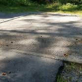 Review photo of Davidson River Campground by Jessica  W., August 24, 2019