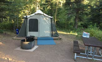 Randy N.'s photo at Cement Creek Campground near Almont, CO