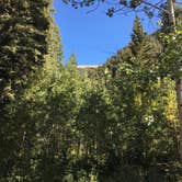 Review photo of Cement Creek Campground by Randy N., September 16, 2019