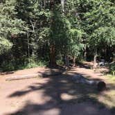 Review photo of Cement Creek Campground by Randy N., September 16, 2019