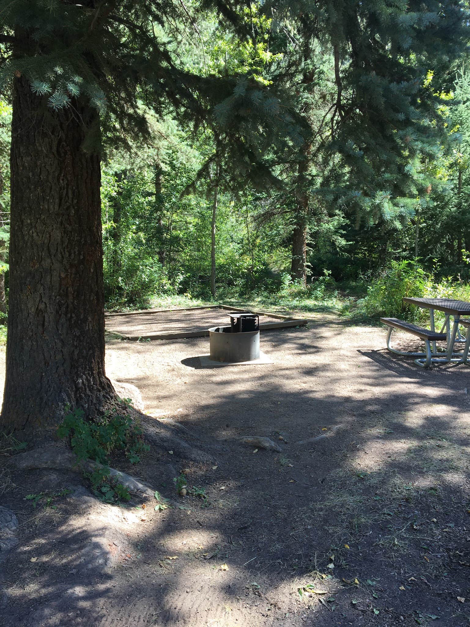 Camper submitted image from Cement Creek Campground - 3