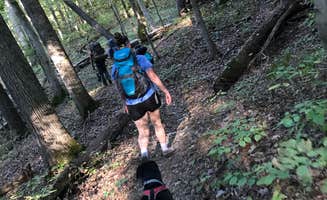 Seth V.'s photo of camping with pets at Leith Run near Caldwell, OH