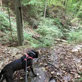 Review photo of Wayne National Forest Leith Run Recreation Area by Seth V., September 16, 2019