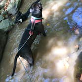 Review photo of Wayne National Forest Leith Run Recreation Area by Seth V., September 16, 2019