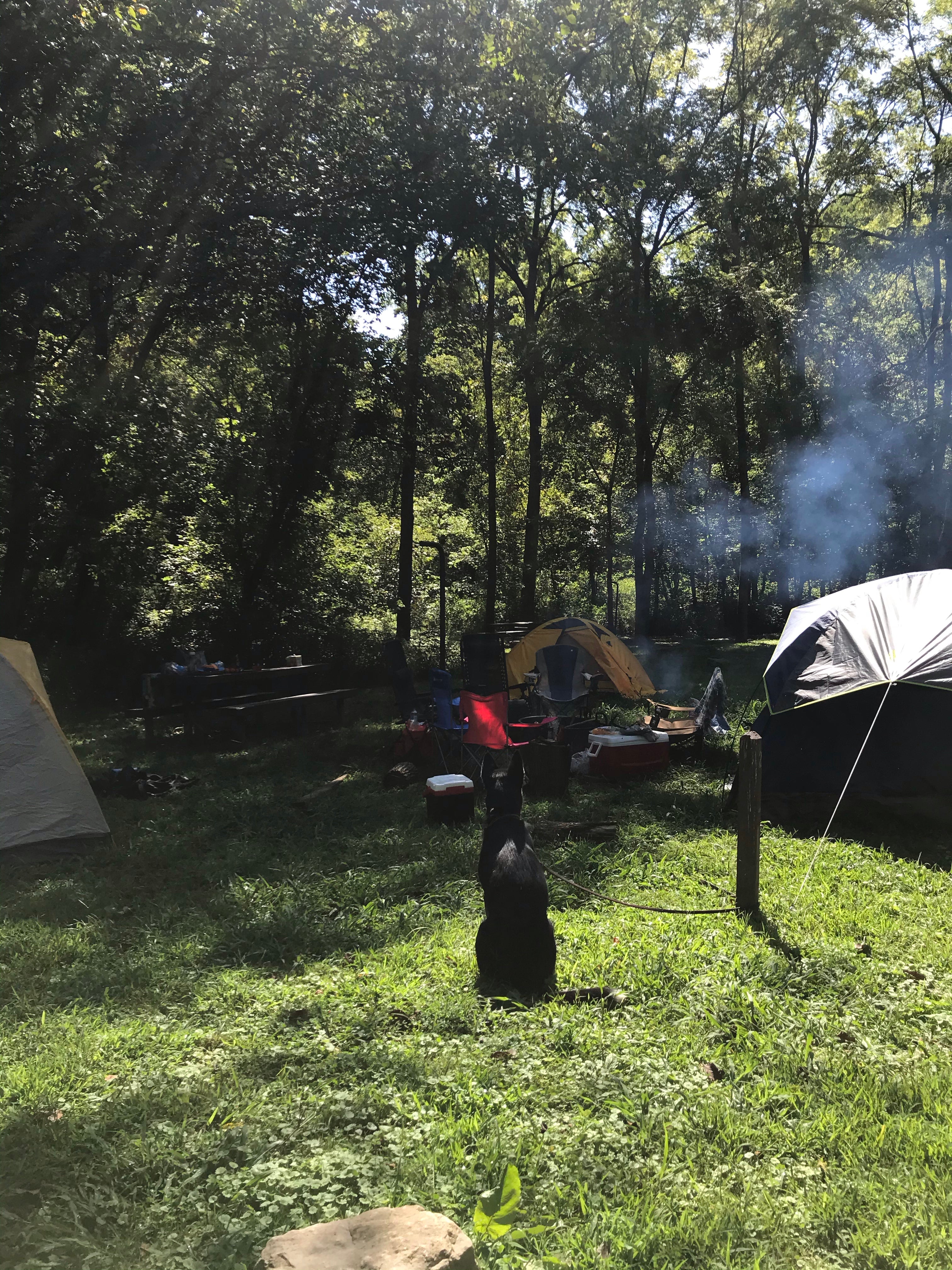 Camper submitted image from Hune Bridge Campground - 1