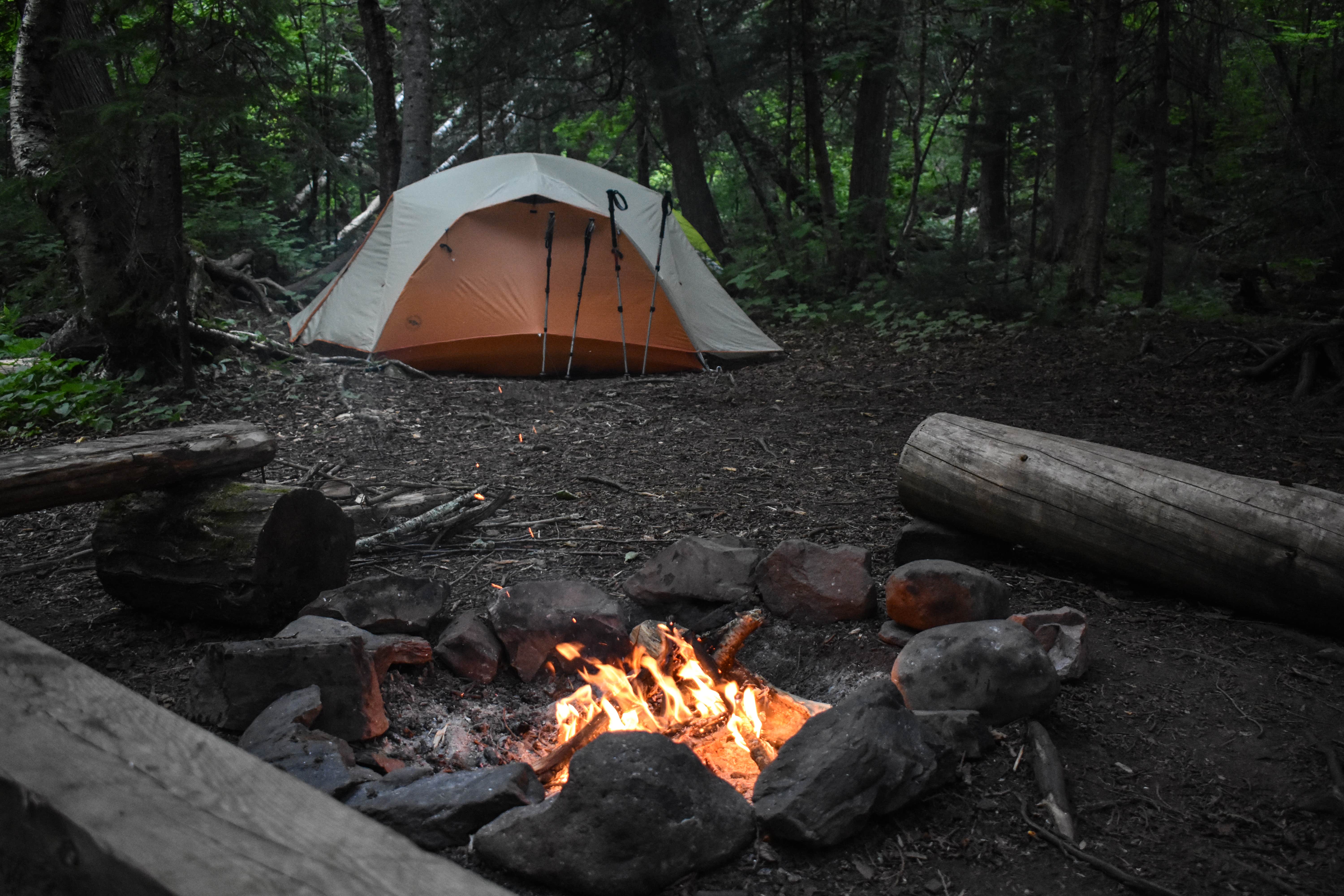 Camper submitted image from Trout Creek Camp - 5