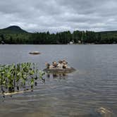 Review photo of Stillwater State Park Campground by Rita M., September 16, 2019