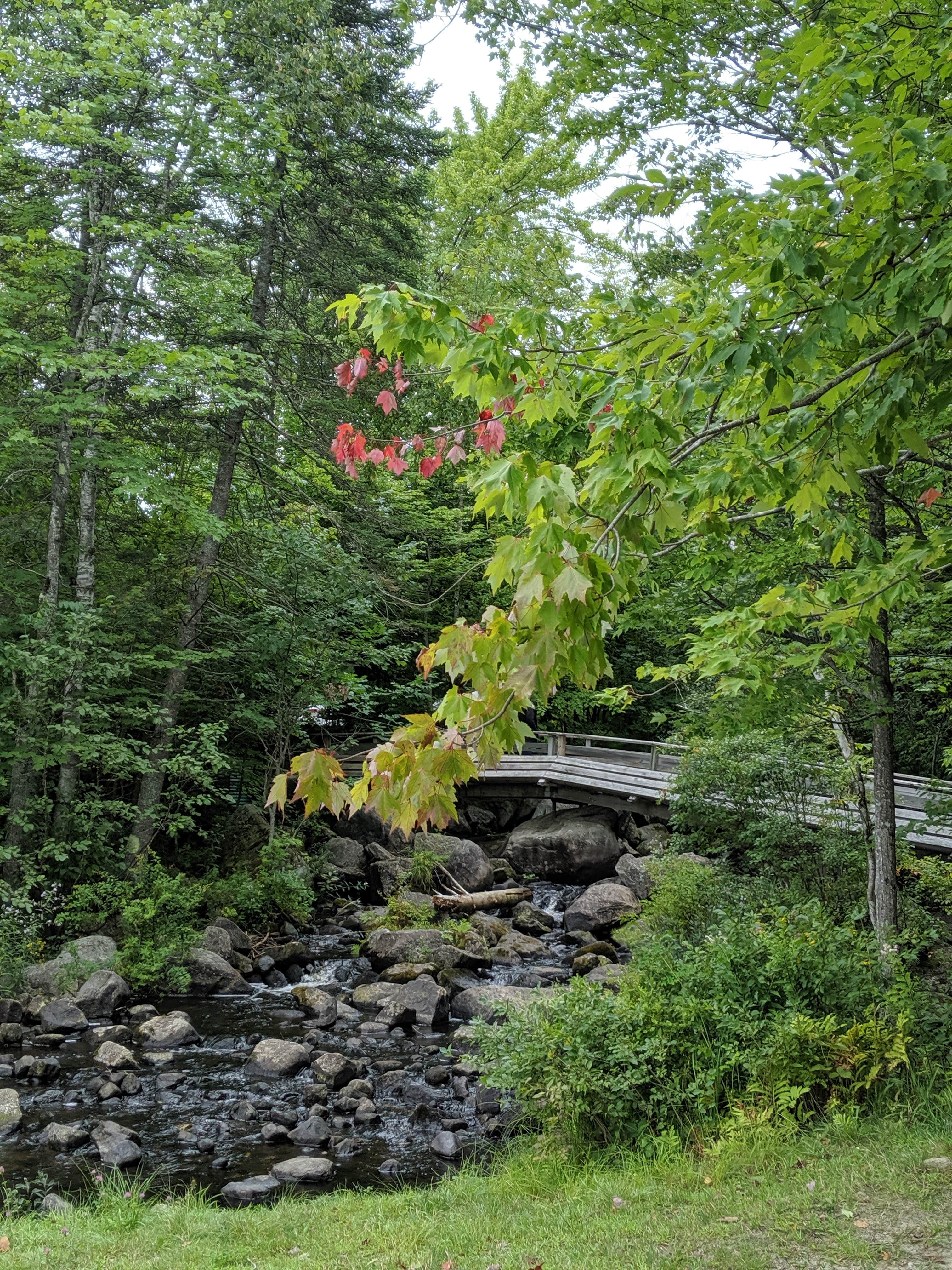 Camper submitted image from Stillwater State Park Campground - 2