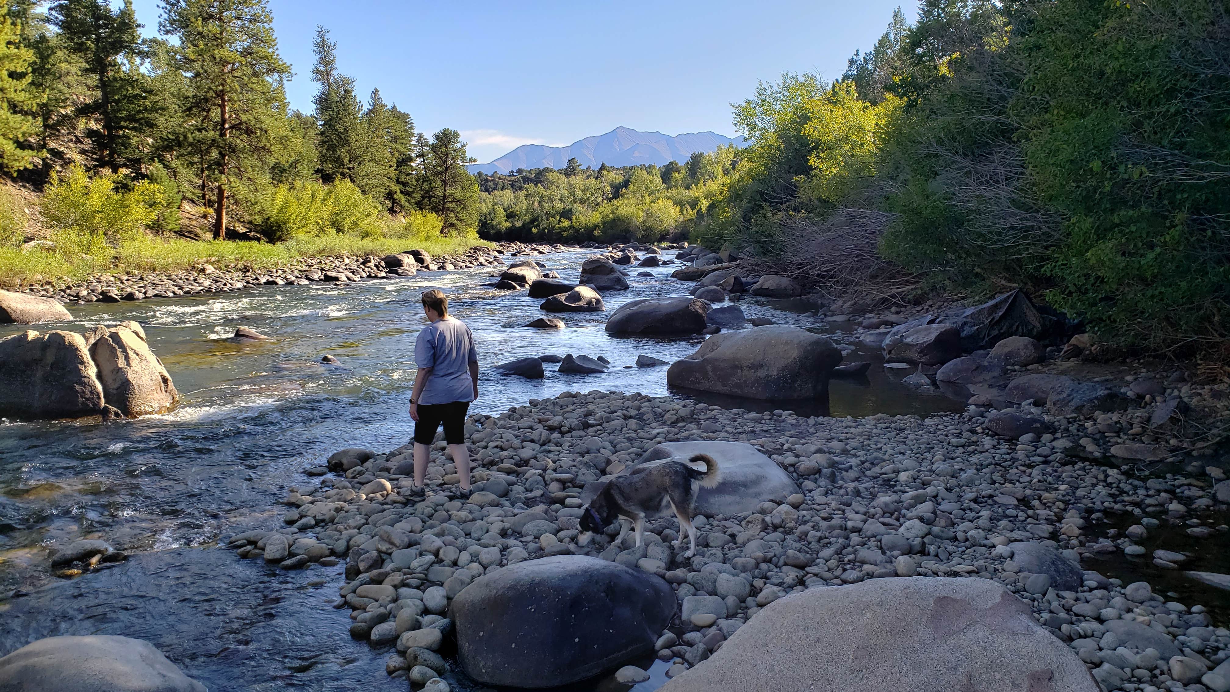 Camper submitted image from Arkansas River Rim Campground - 4
