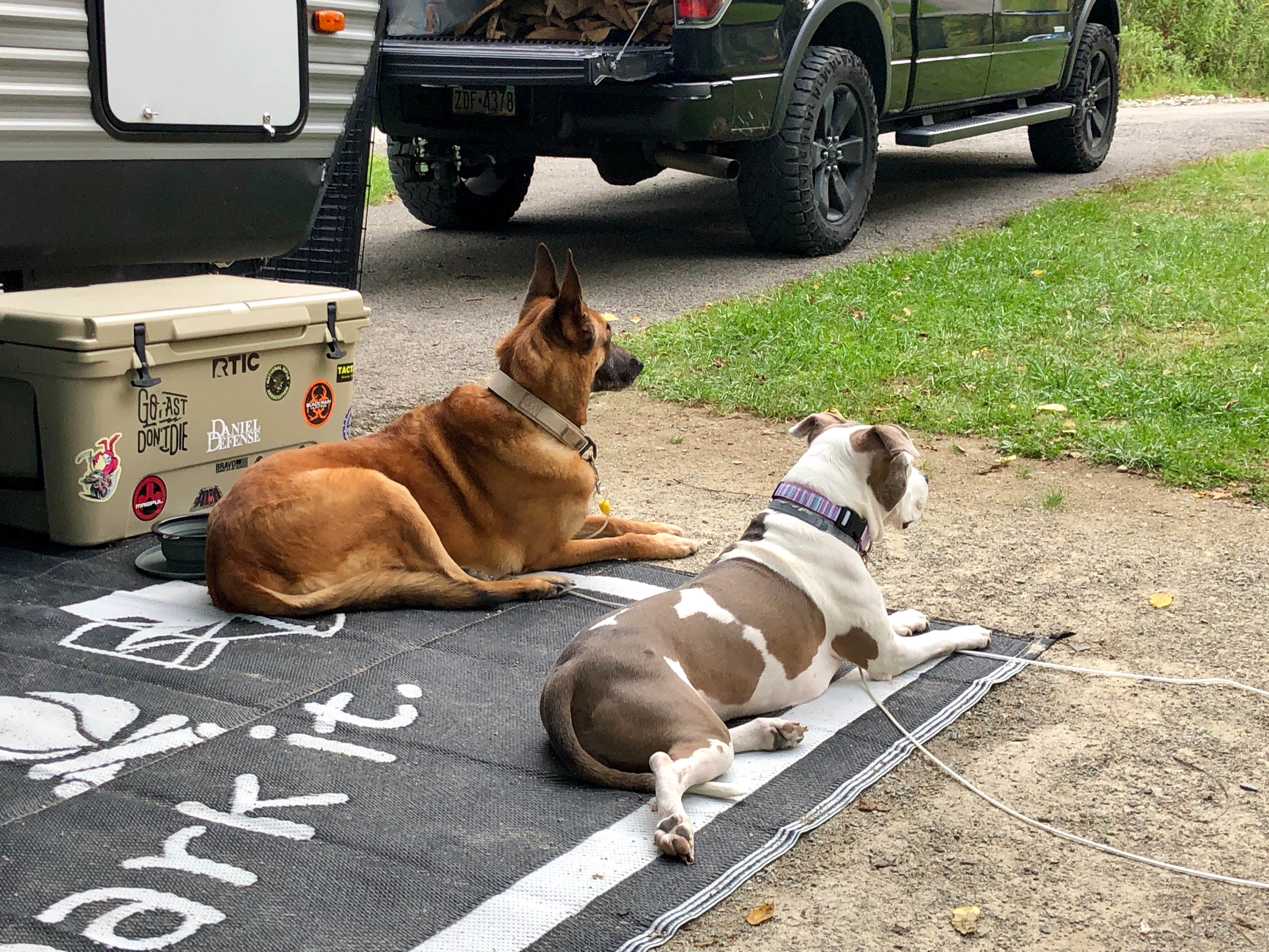 Kevin E.'s photo of camping with pets at Keystone State Park Campground near Greensburg, PA