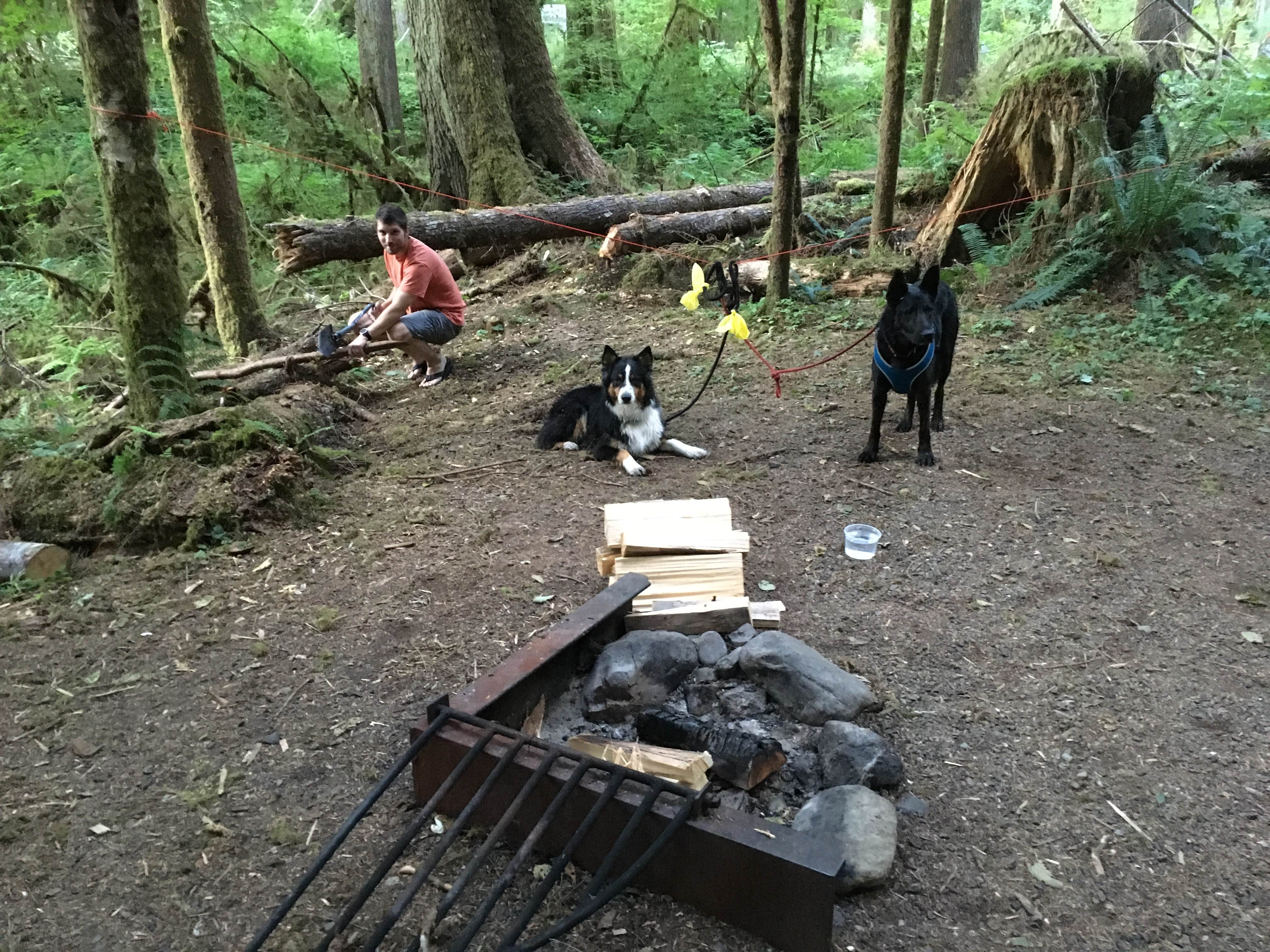 Rain R.'s photo of camping with pets at Gold Basin Campground near Everett, WA