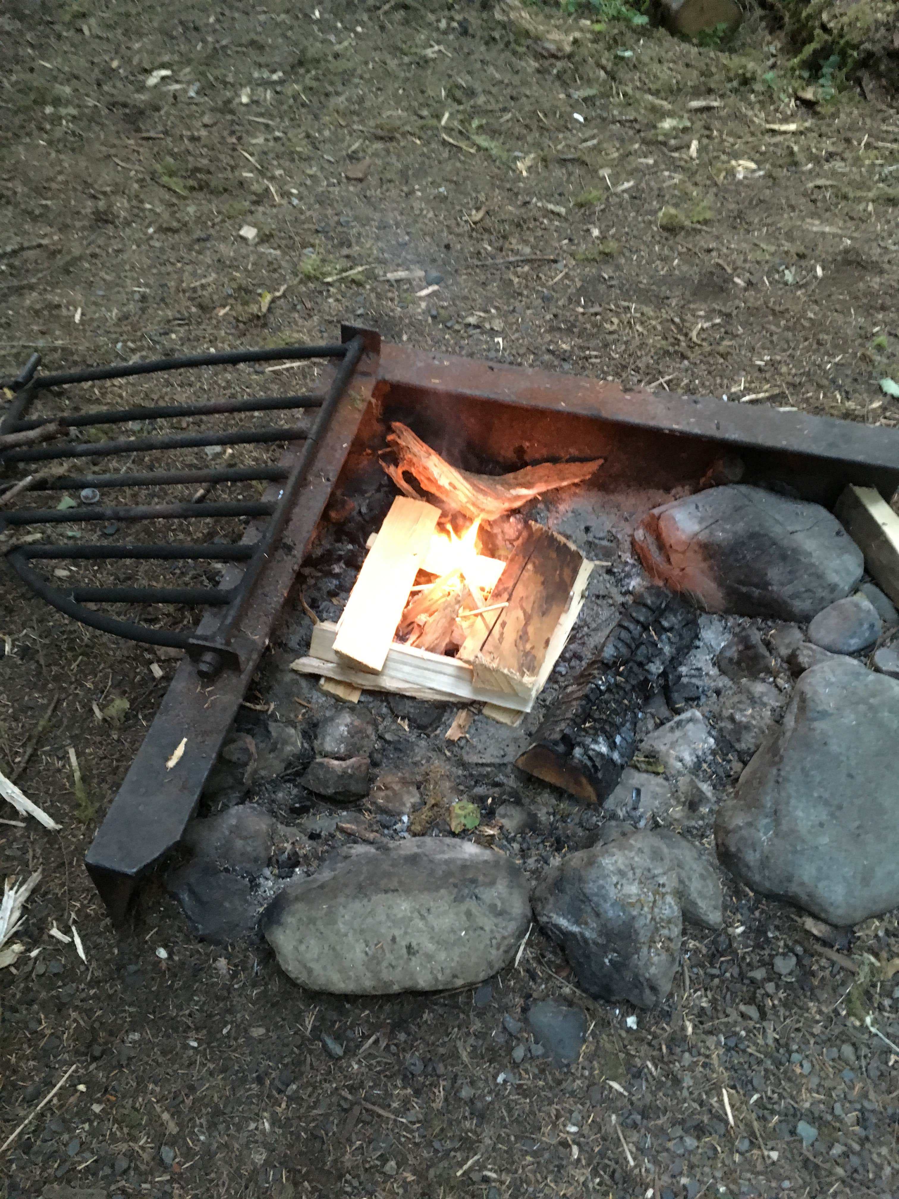 Camper submitted image from Gold Basin Campground - 4