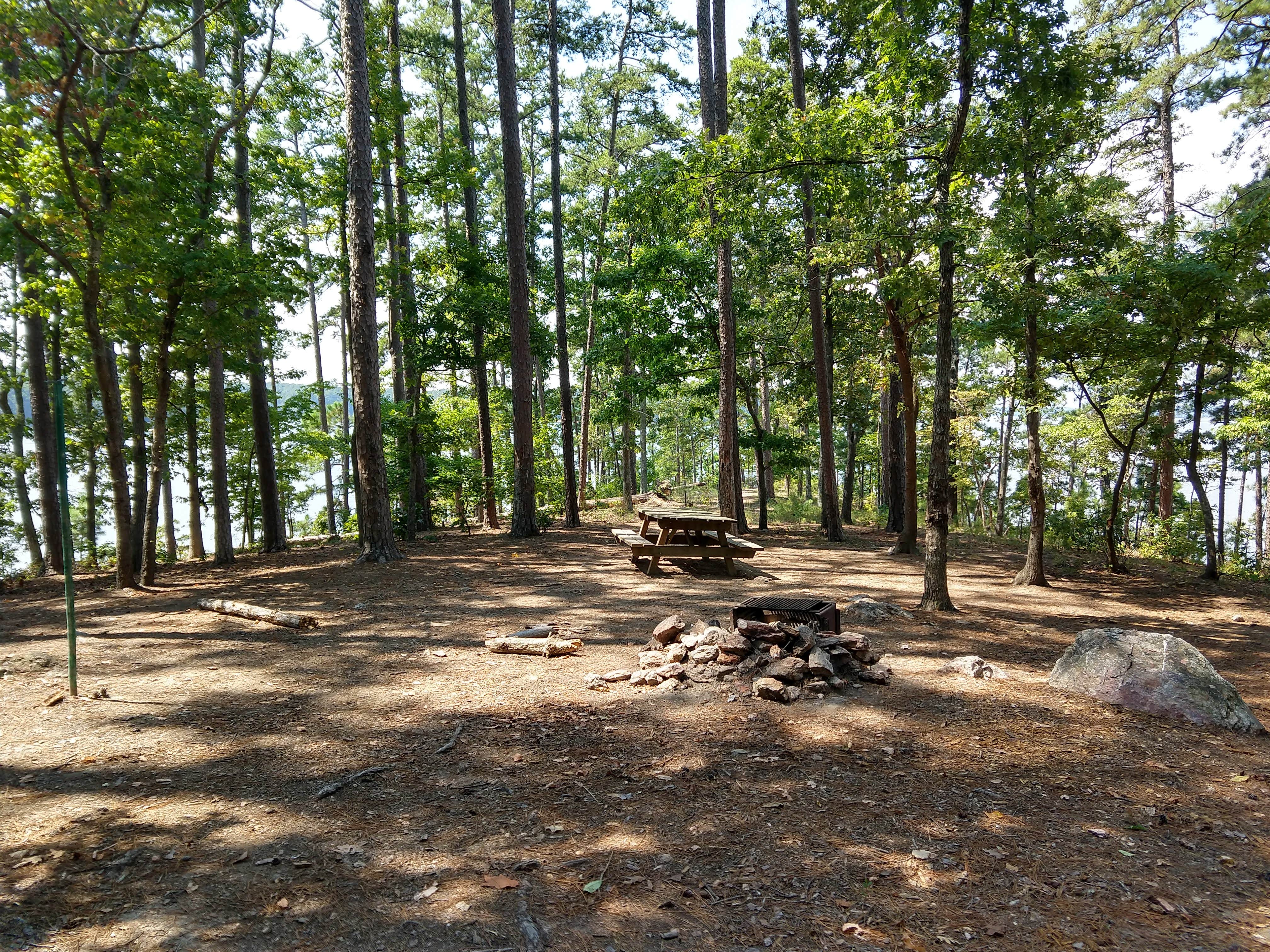Andy S.'s photo at Mistletoe State Park Campground near Evans, GA