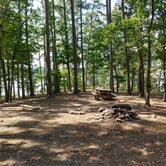 Review photo of Mistletoe State Park Campground by Andy S., September 16, 2019