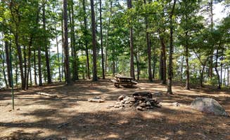 Andy S.'s photo at Mistletoe State Park Campground near Woodland, GA