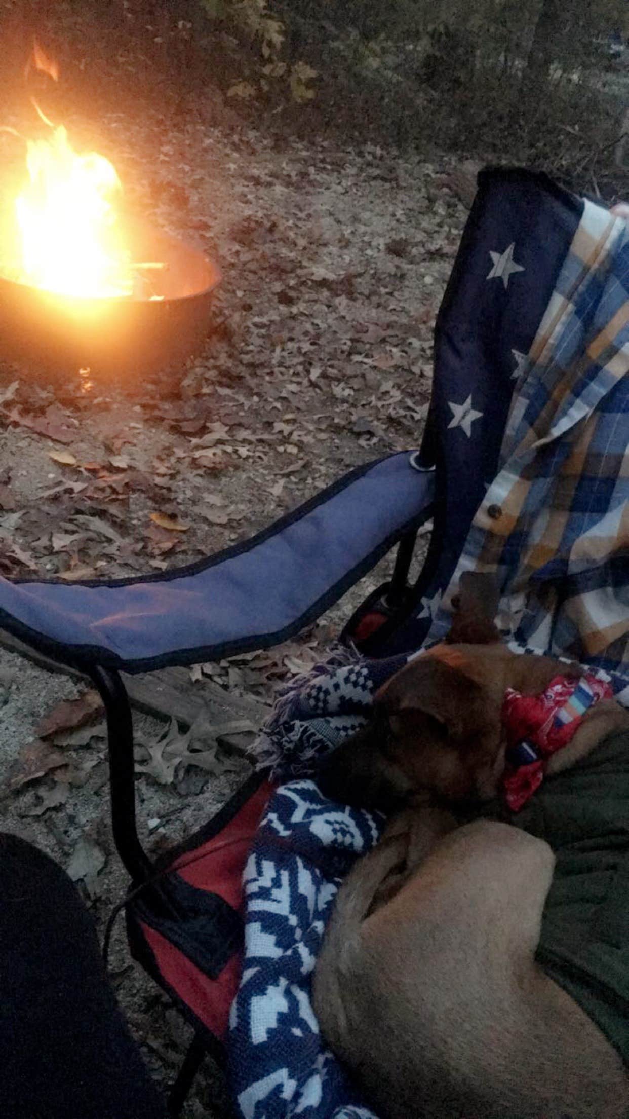 Camper submitted image from Red Oak Campground — James River State Park - 4