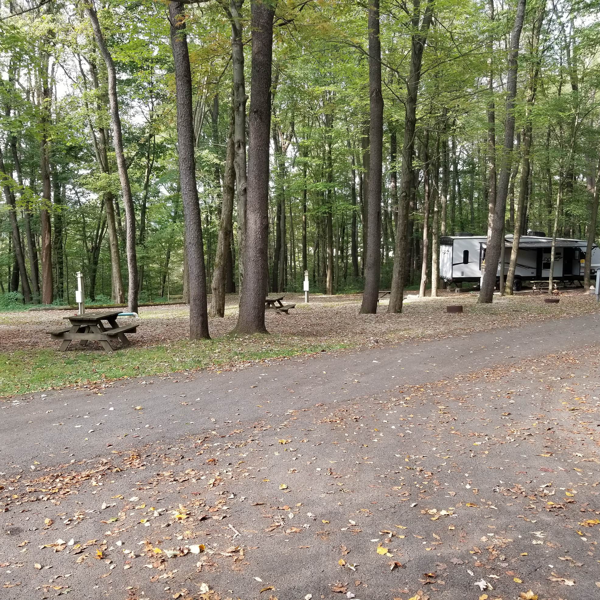 Donegal Campground Camping The Dyrt