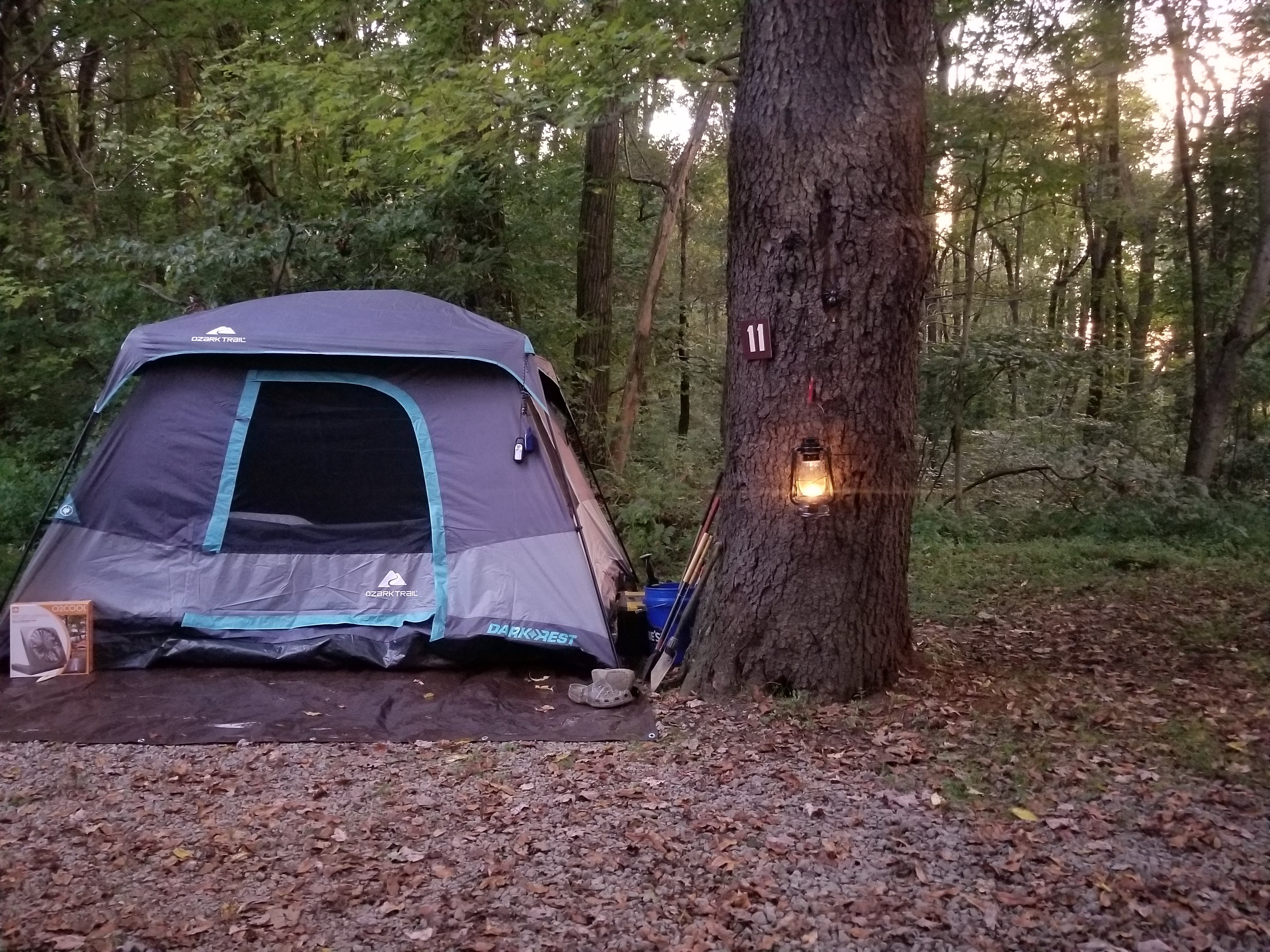 Tent site 11