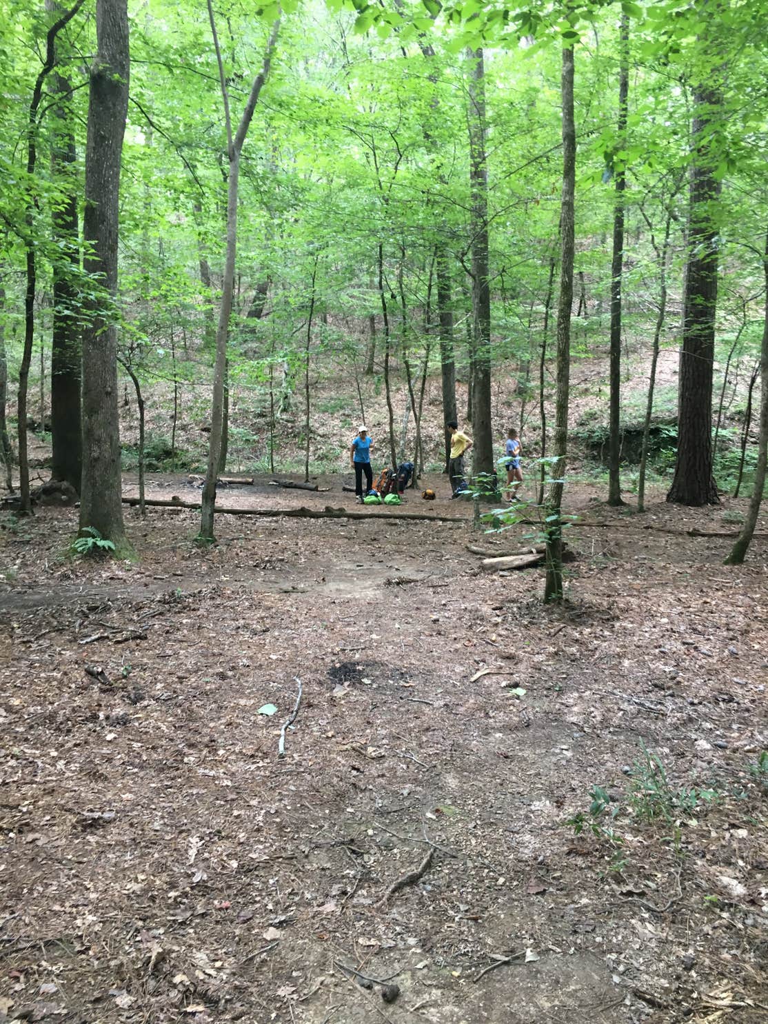 Oak Mountain State Park Campground The Dyrt