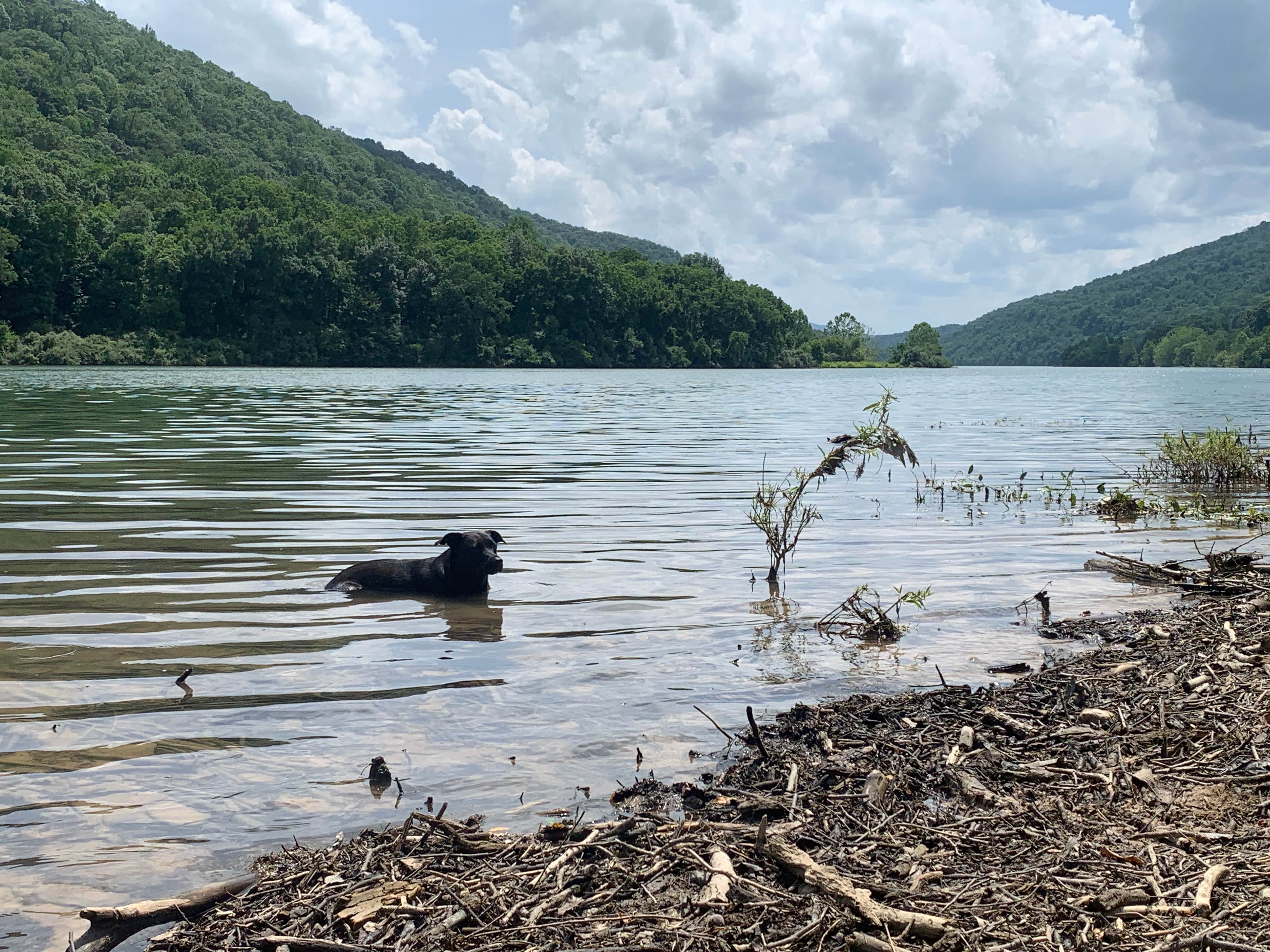 McClintic Point Primitive Campground