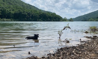 Camping near Beaver Creek Campground — Watoga State Park: McClintic Point Primitive Campground, Hot Springs, Virginia