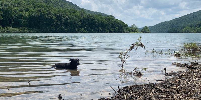 Camper submitted image from McClintic Point Primitive Campground