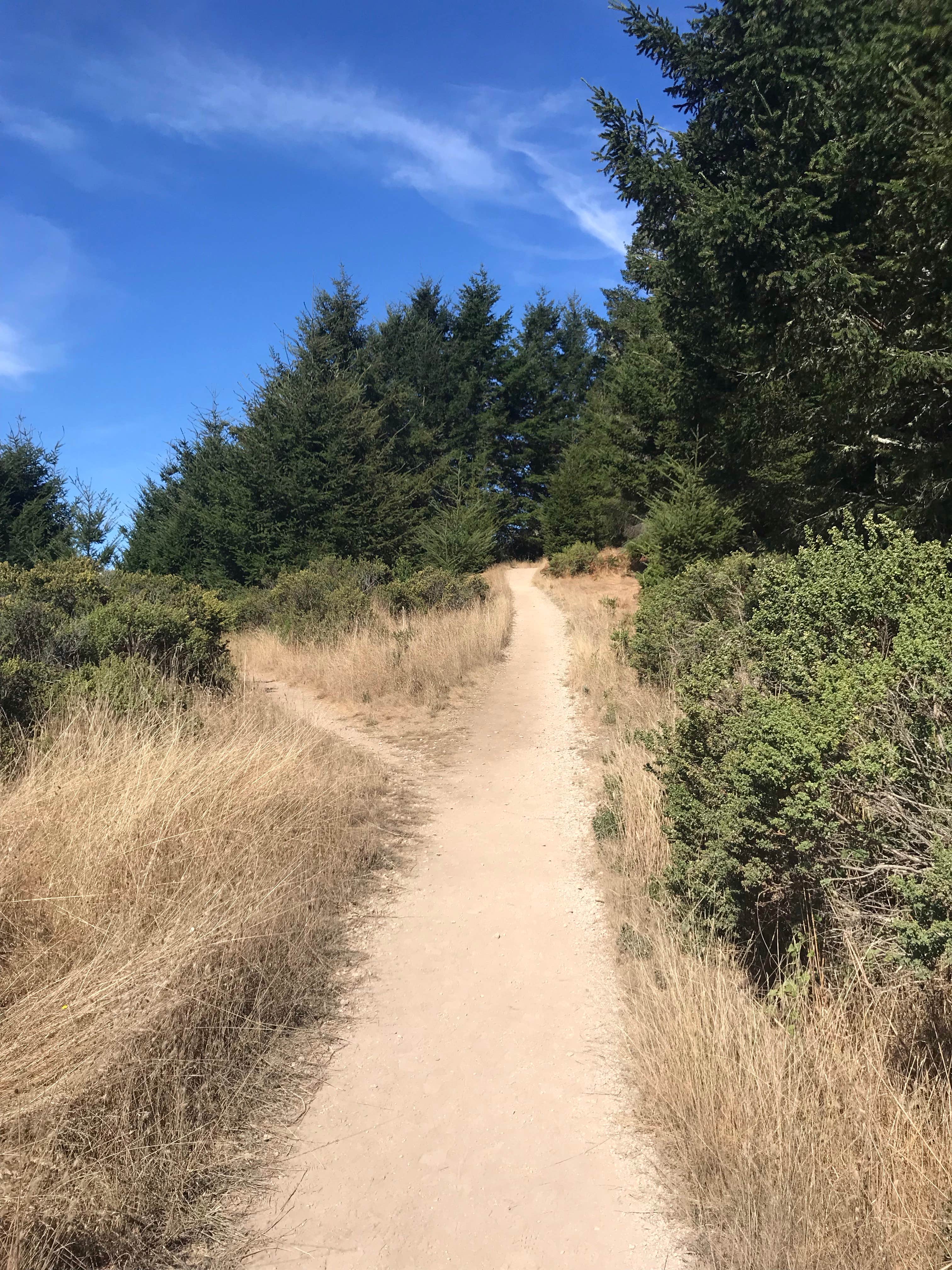 Camper submitted image from Glen Campground — Point Reyes National Seashore - 4