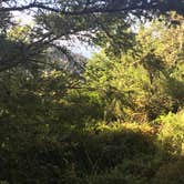 Review photo of Glen Campground — Point Reyes National Seashore by Lay Hooi V., September 17, 2019