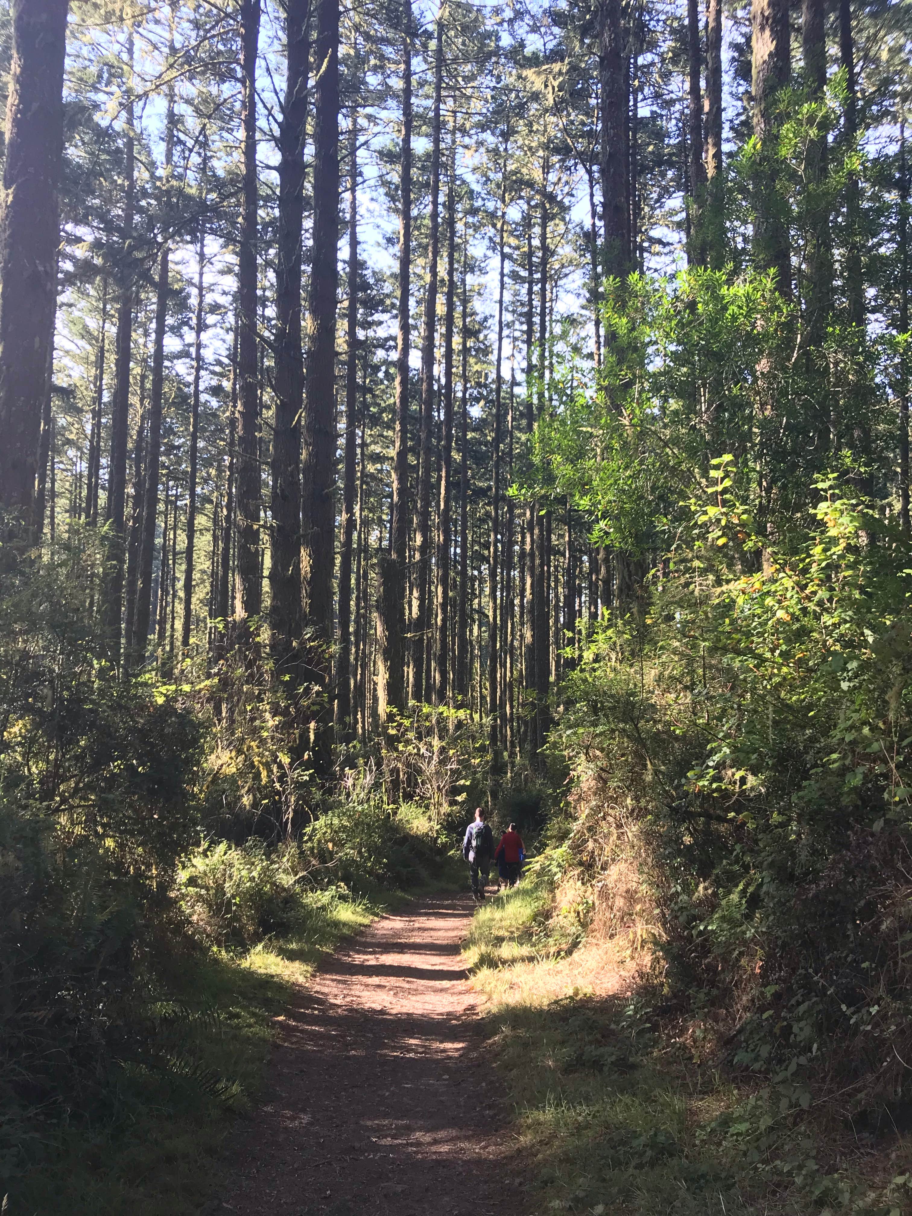 Camper-submitted photo at Glen Campground — Point Reyes National Seashore near Larkspur, CA