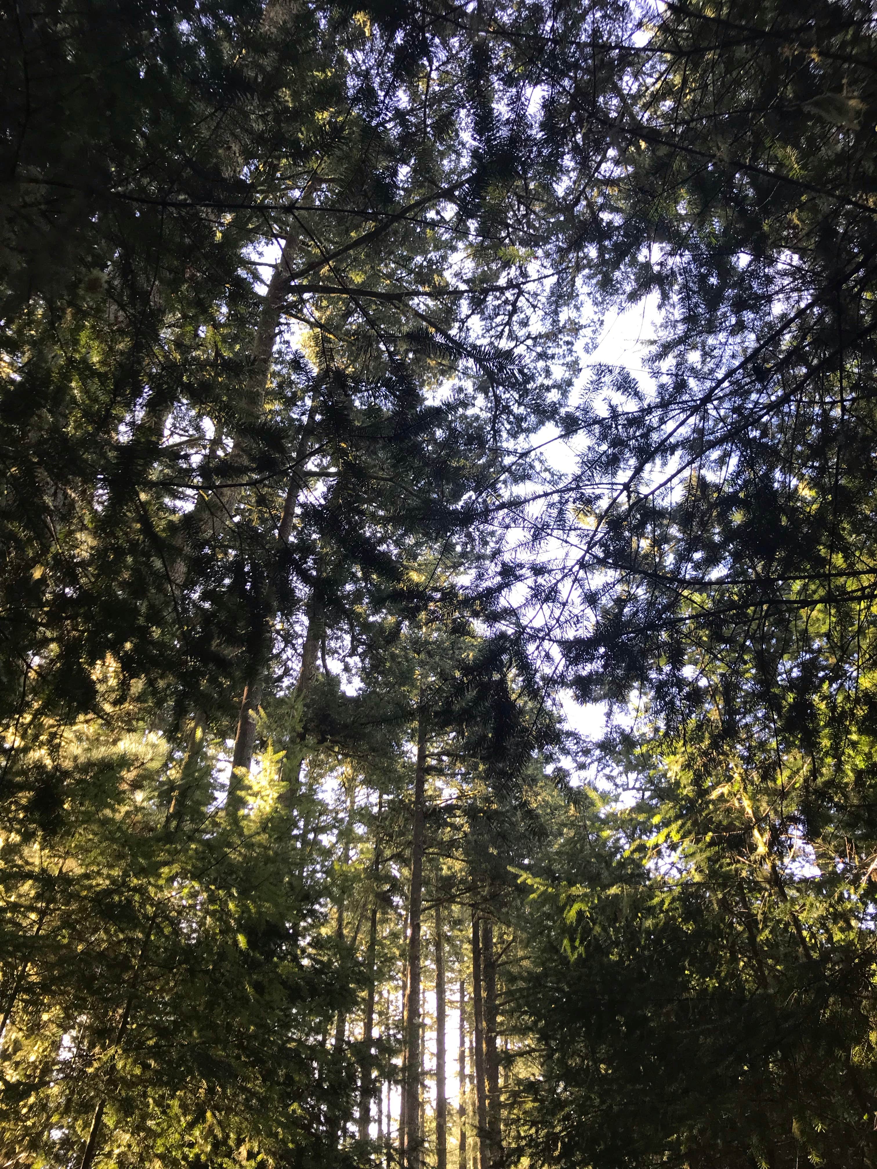 Camper-submitted photo at Glen Campground — Point Reyes National Seashore near Point Reyes National Seashore