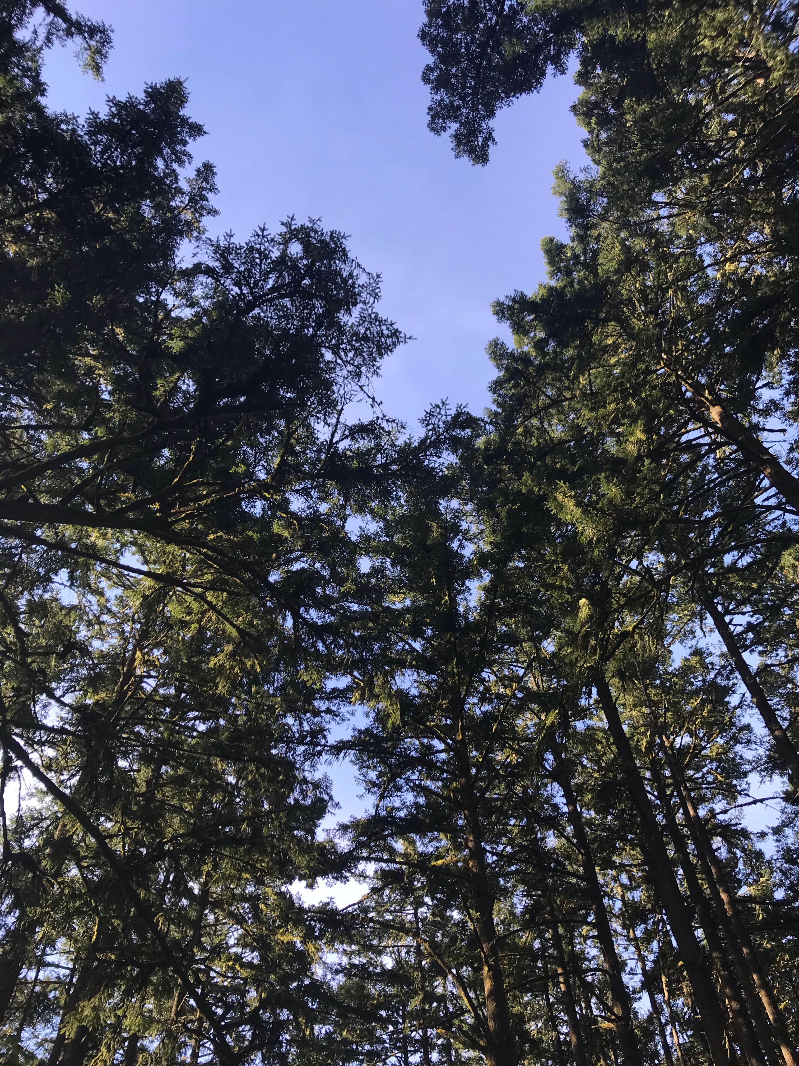 Camper-submitted photo at Glen Campground — Point Reyes National Seashore near Larkspur, CA
