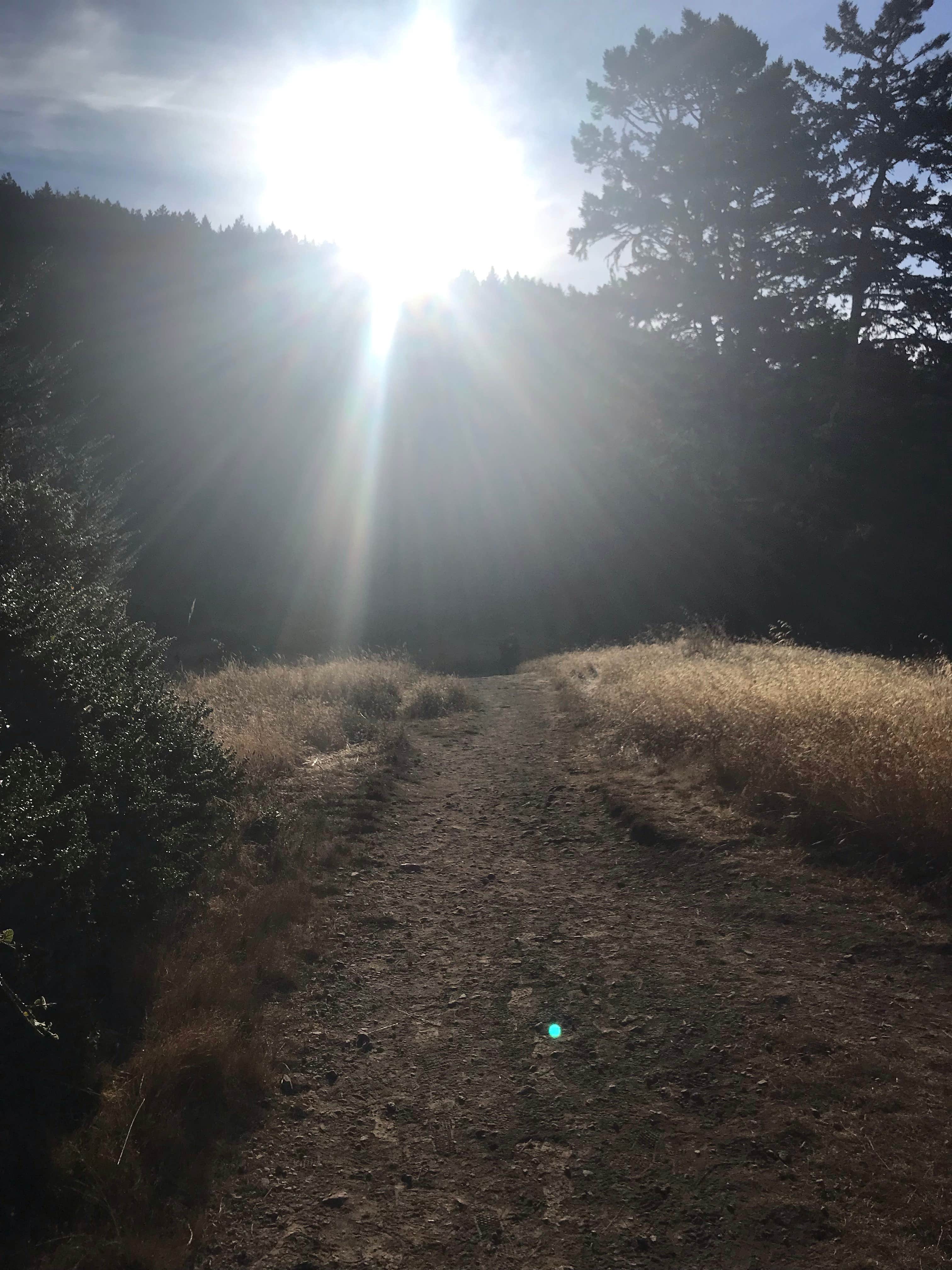 Rohnert Park photo 3