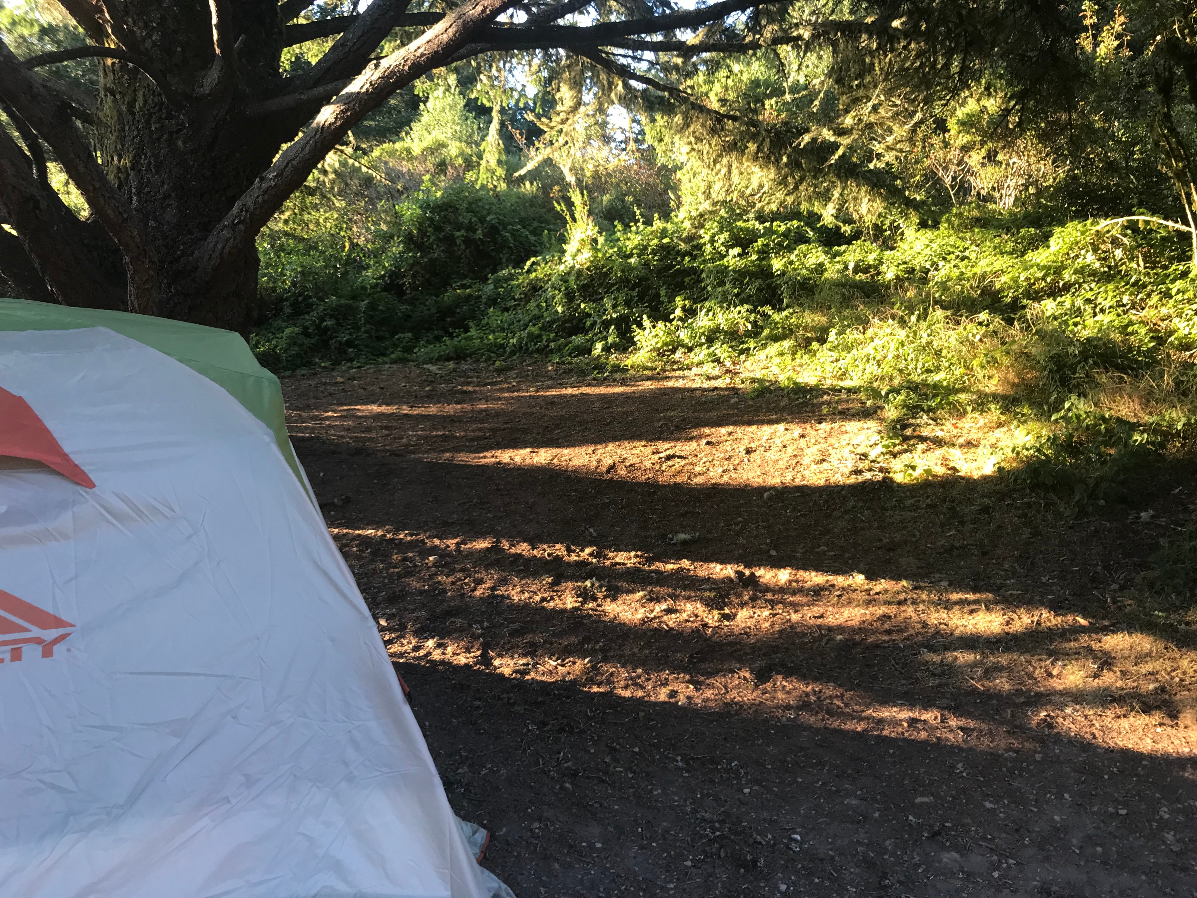 Camper submitted image from Glen Campground — Point Reyes National Seashore - 5