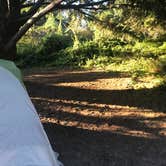 Review photo of Glen Campground — Point Reyes National Seashore by Lay Hooi V., September 17, 2019