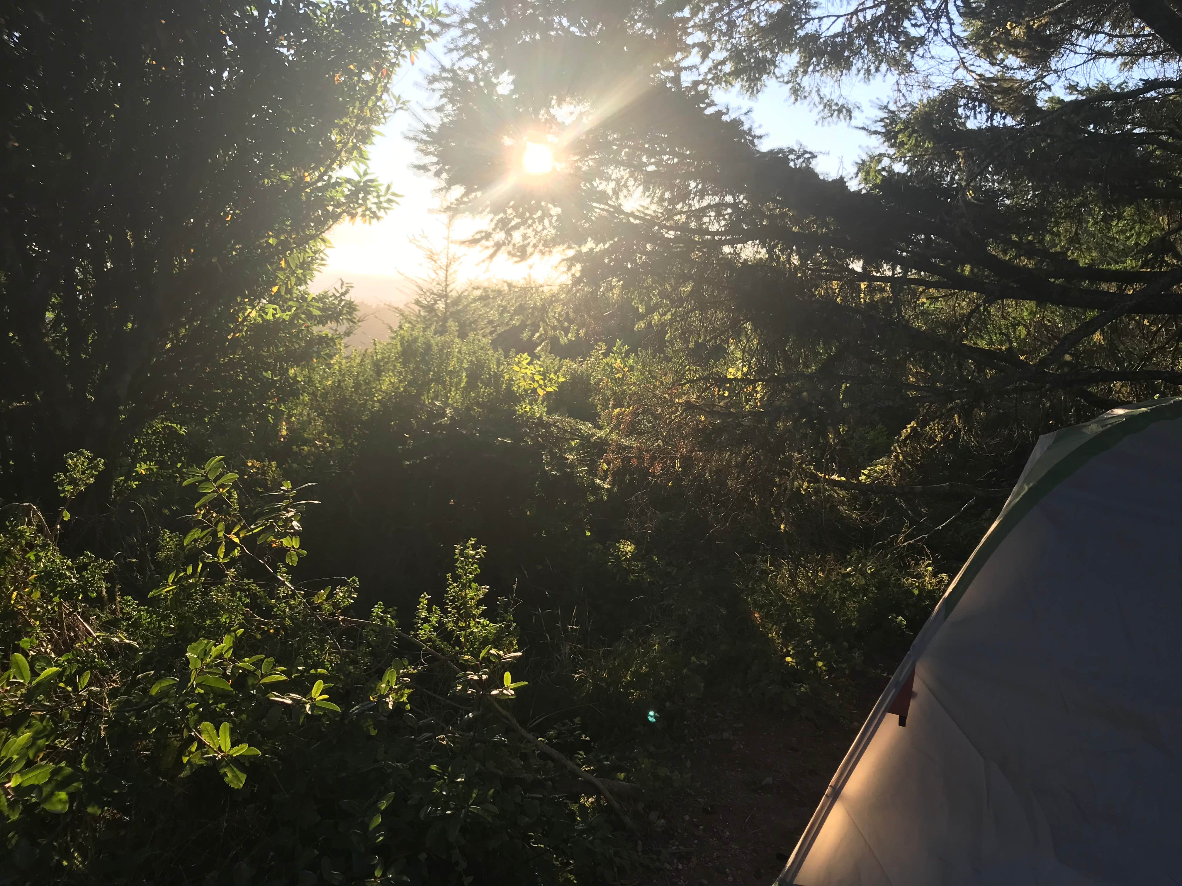Lay Hooi V.'s photo of tent camping at Glen Campground — Point Reyes National Seashore near Greenbrae, CA