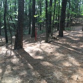 Review photo of Backcountry Site — Oak Mountain State Park by Asher K., August 7, 2017