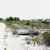 Review photo of Fort Pickens Campground — Gulf Islands National Seashore by Tessa M., June 29, 2016