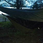 Review photo of Morganton Point Campground by John W., August 7, 2017