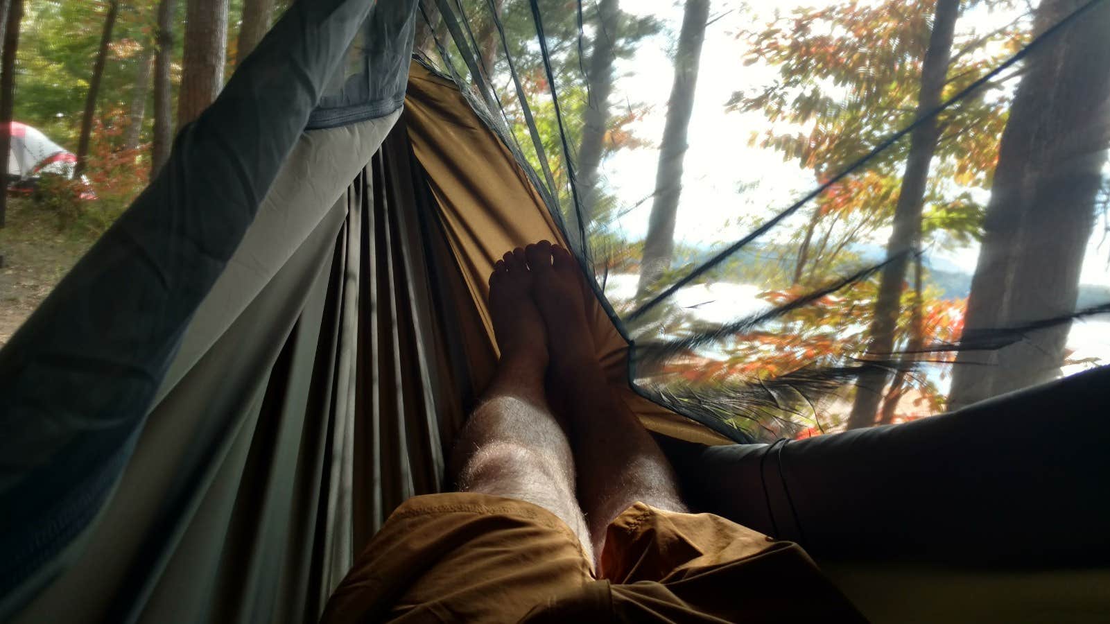 Camper submitted image from Morganton Point Campground - 4