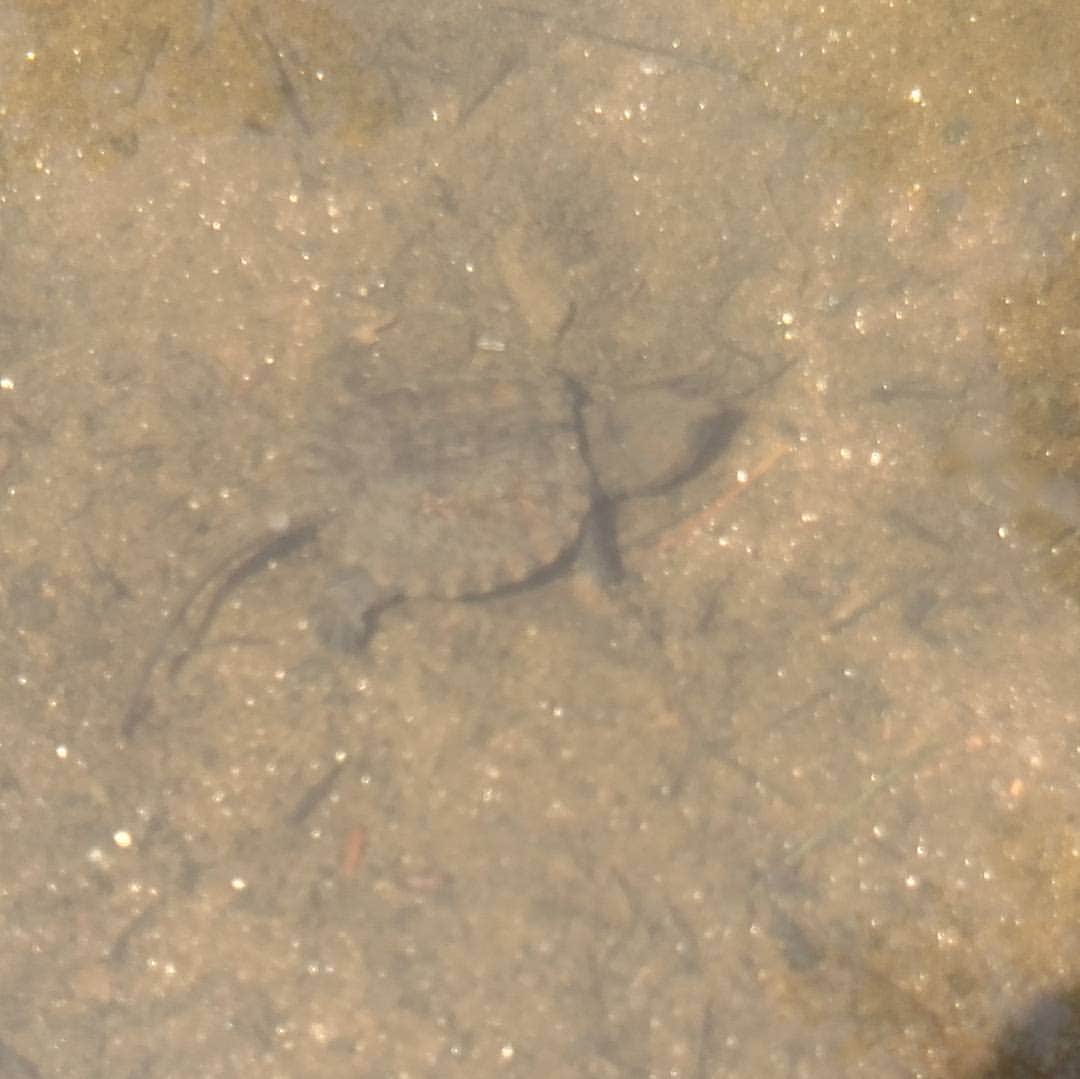 Camper-submitted photo at Panther Creek Recreation Area Camping near Long Creek, SC