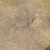 Review photo of Panther Creek Recreation Area Camping by John W., August 8, 2017