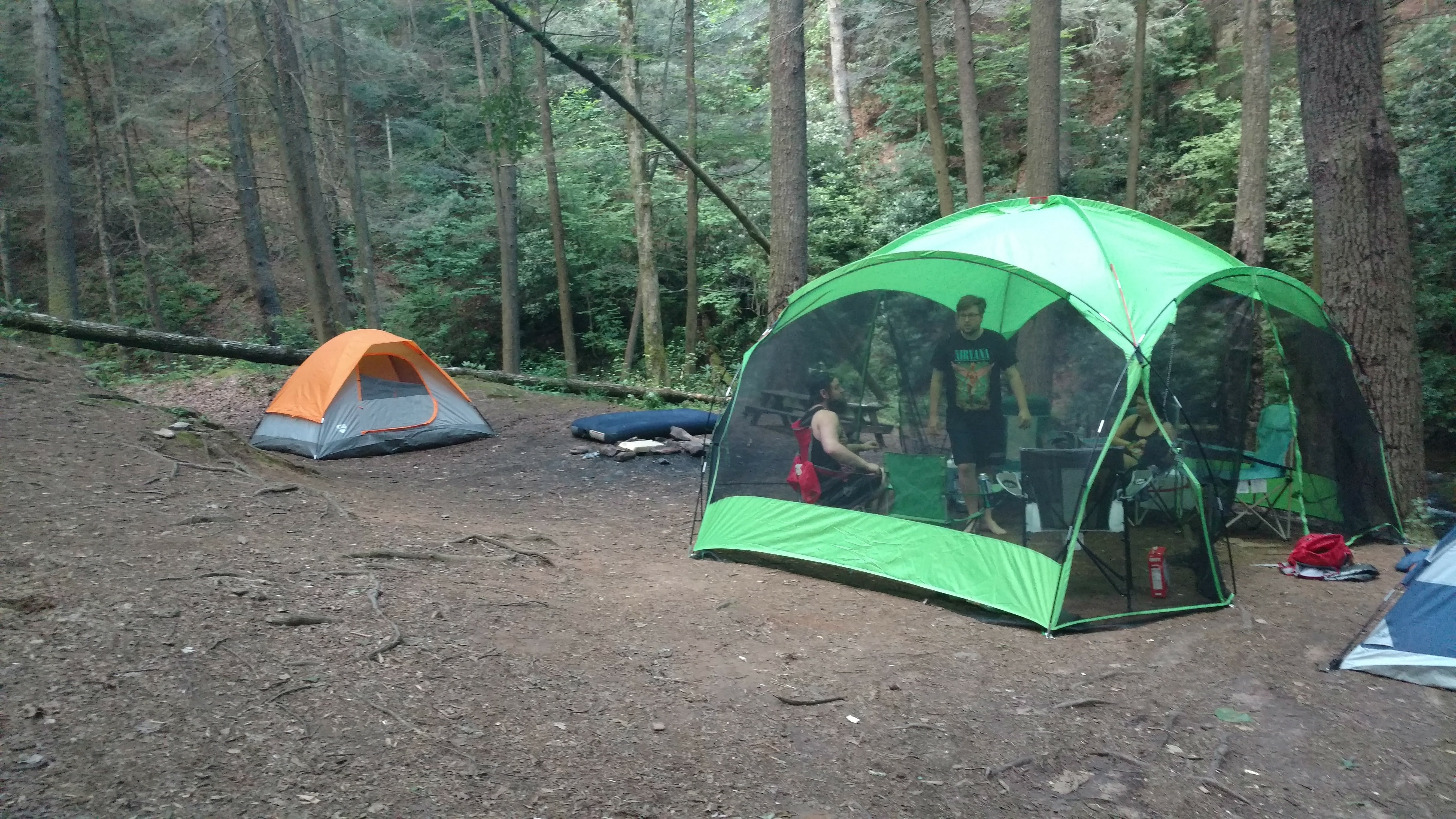 Camper submitted image from Raven Cliff Falls - 5
