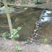 Review photo of Raven Cliff Falls by John W., August 8, 2017